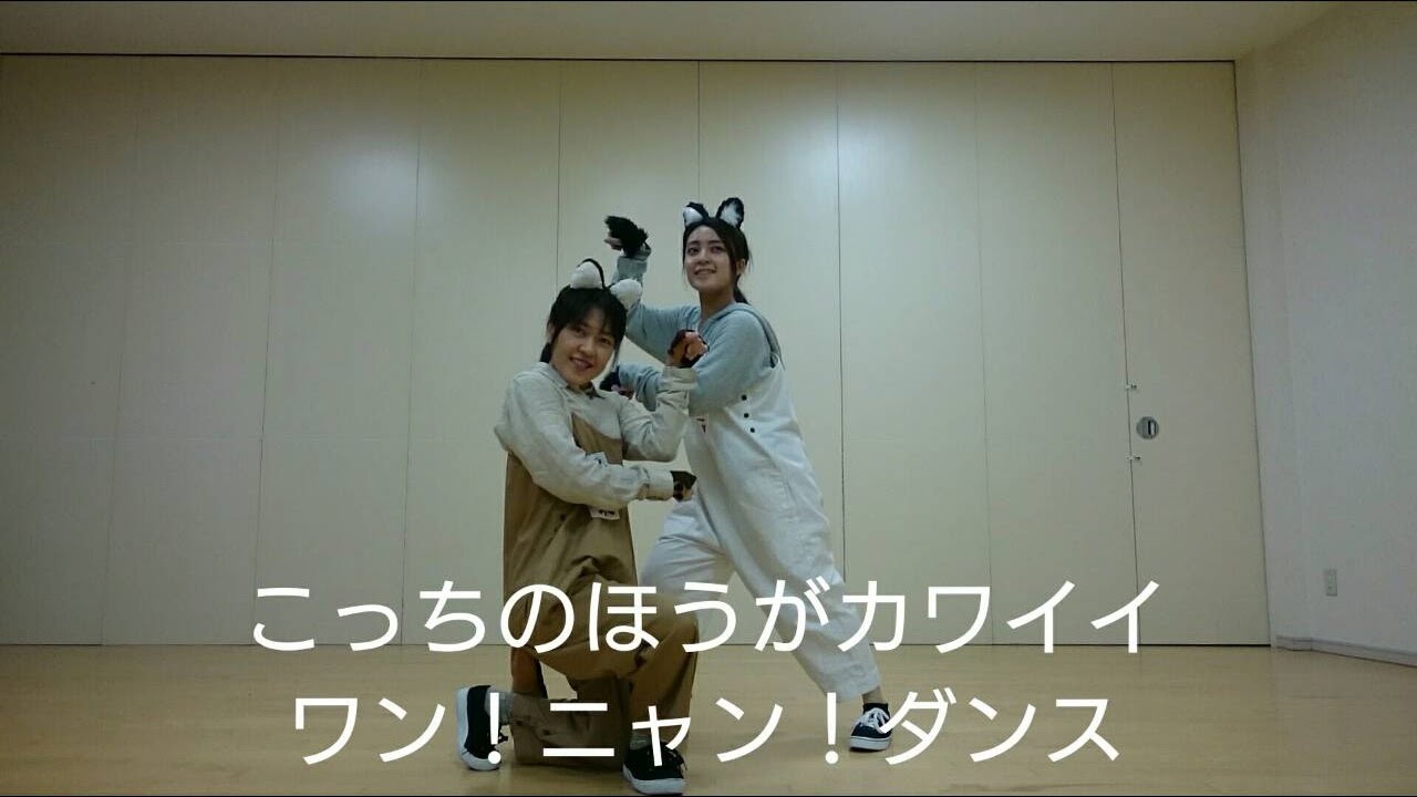 「天才！志村どうぶつ園」相葉&伊ニャー  ワン！ニャン！ダンス踊ってみた