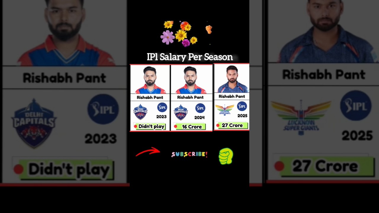 Rishabh pant ipl salary per season 