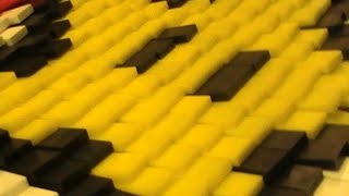 DOMINO PROJECTS 6!!! OVER 10 000 DOMINOES!!!
