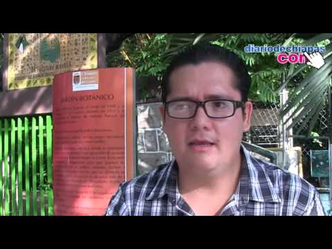 Entrevista con Oscar Fernando Muñoz Gumeta mexico primera division