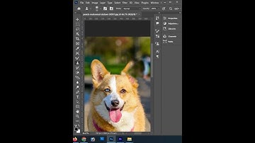 Clone Tool Feature In Photoshop | Photoshop Tricks