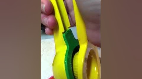 Bru Joy Citrus Press
