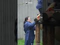Two Nannies VS. One Very Uncooperative Panda Cub | iPanda #shorts