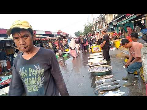 memburu ikan tenggiri  harganya 85  ribu per kilogram