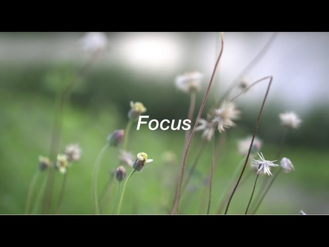 Jen Howard - Focus (Lyric Video) auf YouTube ansehen Jen Howard - Focus (Lyric Video) auf YouTube ansehen