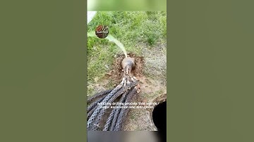 Trenchless Pipeline Installation  The Future!