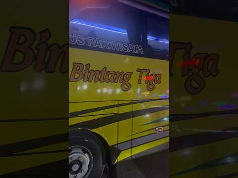 Sewa Bus Pariwisata Bintang Tiga: Panduan Lengkap untuk Perjalanan Anda yang Nyaman dan Terjangkau