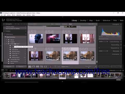 Lightroom Classic CC Tutorial Finding Photos by Collections Adobe Training