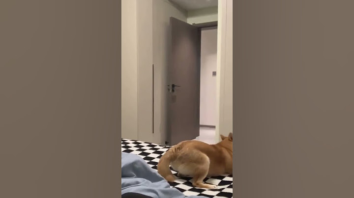 Chơi vậy ai chơi lại  😤