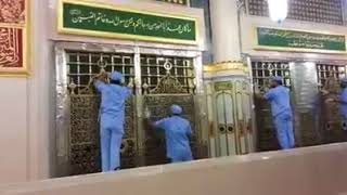 شاهد عملية تنظيف المسجد النبوى