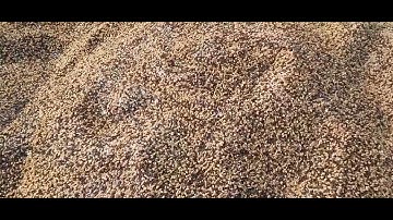 my first vlog 🔥 || tisri lahar||niki ayush vlog @Active Rahul @bablu banna vlog