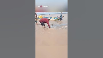 Người dân Bạc Liêu hợp sức giải cứu đàn cá heo mắc cạn | VnExpress