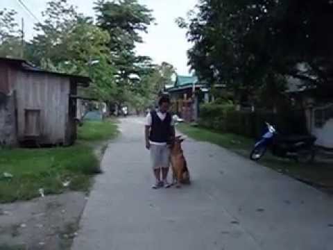 Iligan City Mondioring 1