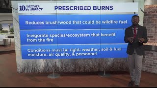 Why prescribed burns are important