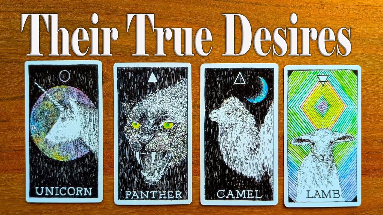 💘 WHAT ARE THEIR TRUE DESIRES FOR YOU? | Pick a Card 💫 Timeless Tarot Reading 🔮