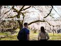 a7CII +Sigma 35mm F1.4 DG II Art in Japan | Beautiful Sample Photos & Footage
