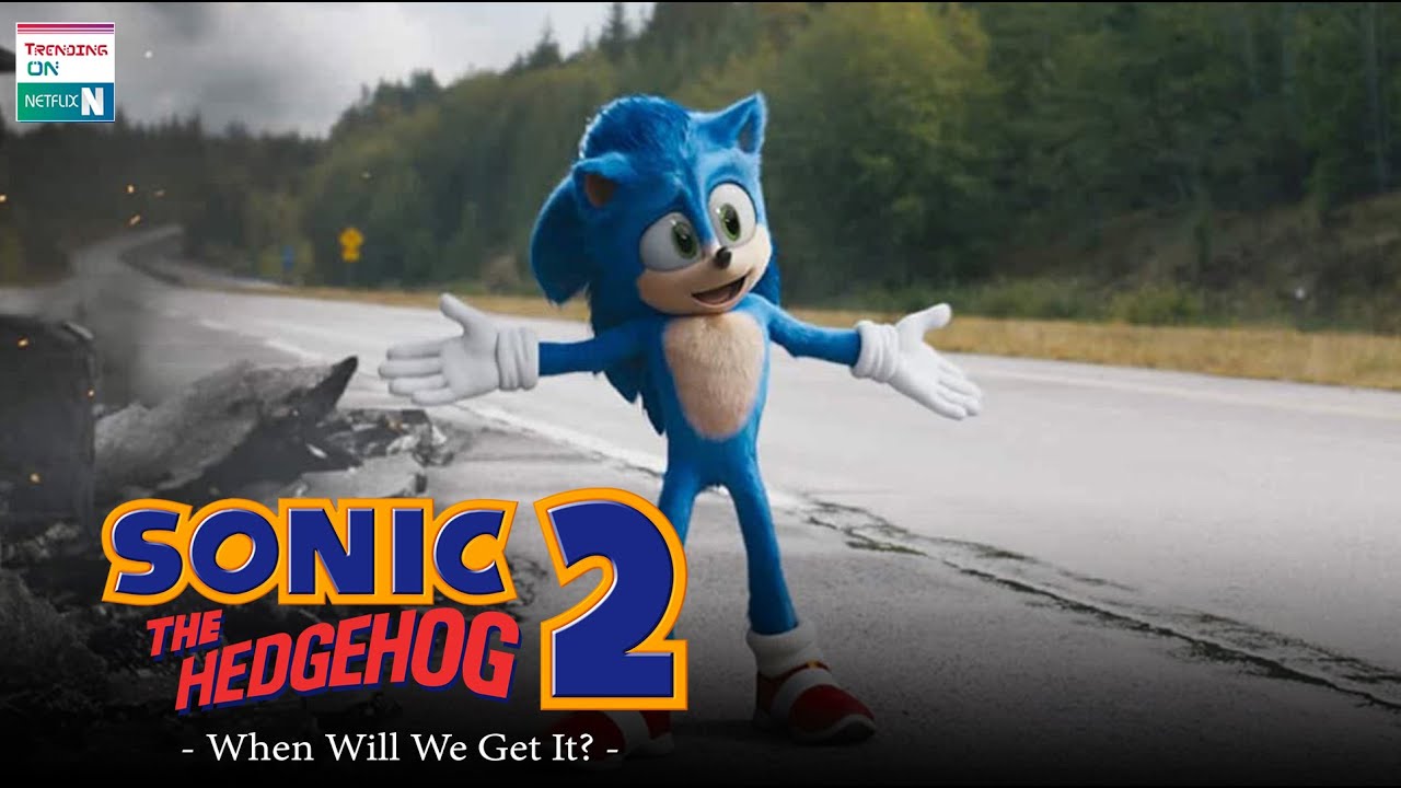 Sonic 2 to arrive on German Netflix for Christmas : r/SonicTheHedgehog