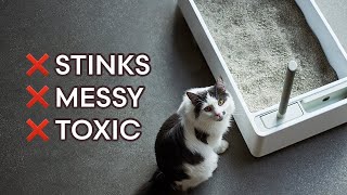 5 Concerning Reasons to Change Cat Litters...