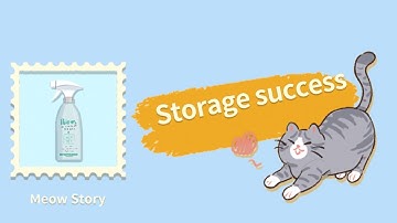 Storage Master Game Level Meow Story