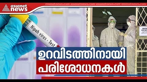 Nipah precautionary measures in full swing; will send five samples to Pune lab