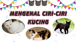 Download Lagu Mengenal Hewan Kucing || Ciri-ciri Kucing - Video Pembelajaran MP3