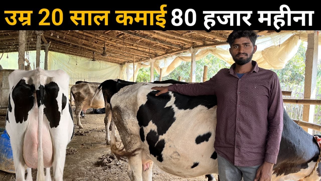 Yuwa Kisan Dairy Farm Se Kamata Hai 80 Hajar Mahina | Dairy Farm Bihar