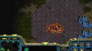 PvZ[python FVOD] 2/2