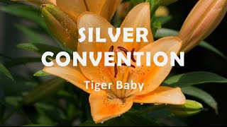 Silver Convention Tiger Baby