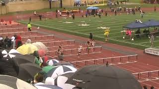 100 HH 1ag