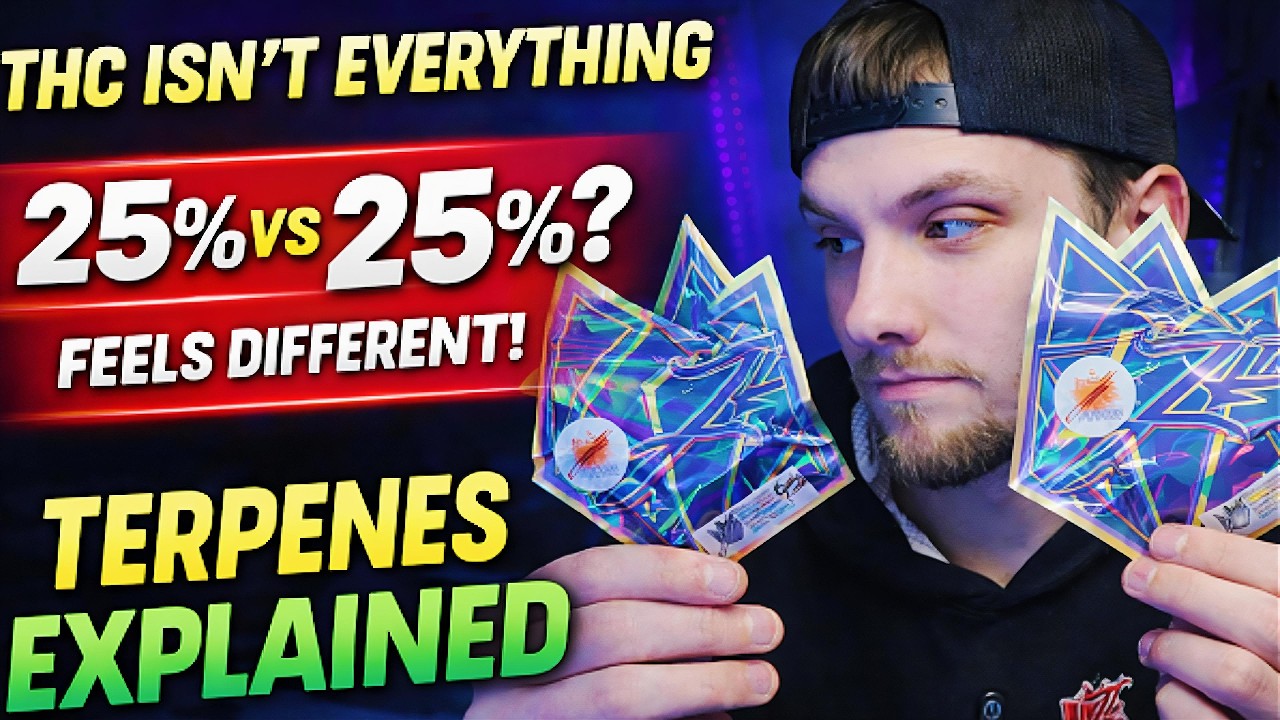 Terpenes Explained 🌿 Why THC % Isn’t Everything | B1, Candy Fumez, Kush Mintz & Sugar Cookies