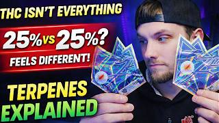 Terpenes Explained 🌿 Why THC % Isn’t Everything | B1, Candy Fumez, Kush Mintz & Sugar Cookies