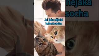 Nemůžeš se aspoň trochu hýbat? Jsi jako nějaká ledová socha! #vtip #memes #vtipy #cat