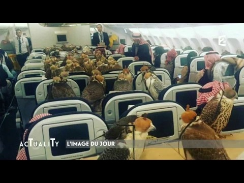 Vidéo: Un prince saoudien achète 80 places sur un avion pour Falcons