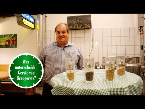 Video: Macht Gerste Bier?