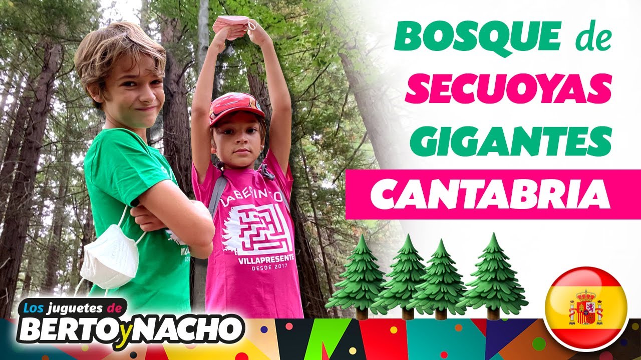 BOSQUE de SECUOYAS de CANTABRIA ::: Viaje con NIÑOS ::: Cabezón de la Sal