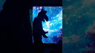 spacealf #stopmotion #galáxia #spacemanadamsandler #brillos #Alf #gato