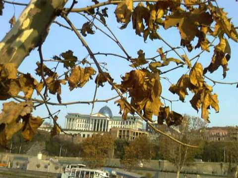 პრეზიდენტის რეზიდენცია