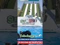 Viral# broma#recreacion de pelicula#tobogan#niños#broma#viral
