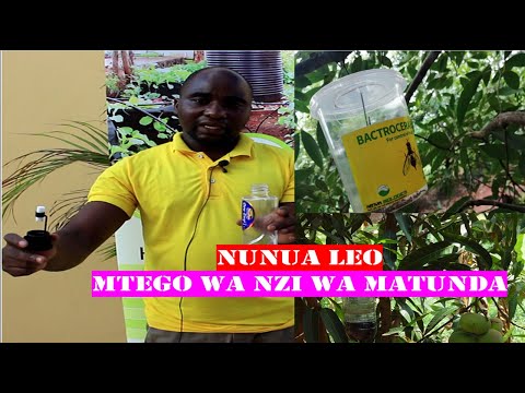 Video: Jinsi ya Kulima Udongo: Hatua 13 (na Picha)