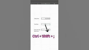 Excel Shortcut for Date & Time ⏱ | Must-Know Excel Trick #excel #exceltips