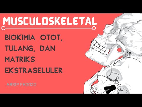 Video: Apa matriks ekstraseluler darah?