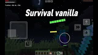 Survival Vanilla Server