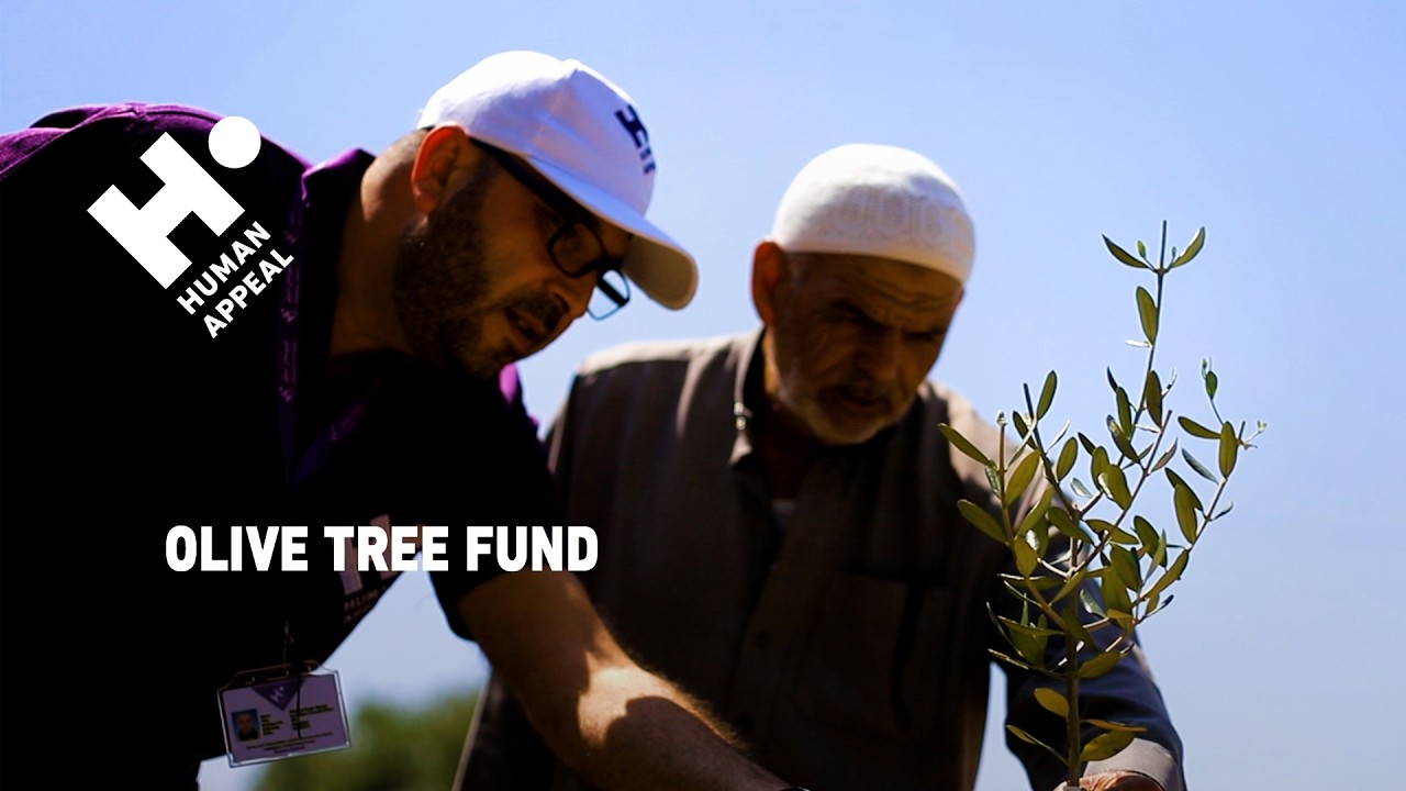 Plant Olive Trees in Palestine
