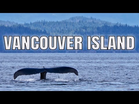 Vidéo: Découvrez English Bay Beach à Vancouver, en Colombie-Britannique