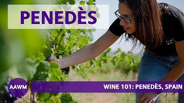 Cava and Beyond: Exploring the Unique Wines of Penedès