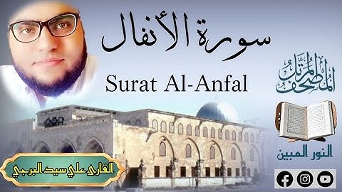 المصحف المرتل | سورة الأنفال مكتوبة القارئ علي سيد البرجي ١٤٤٧ هجرية Surat Al-Anfal