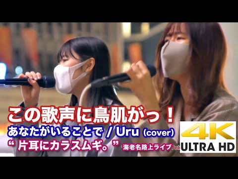 【4K】この歌声に鳥肌がっ！人気上昇中の2人組です！　あなたがいることで / Uru（cover）