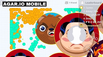 *RANDOM* PARTY REVENGE! (Agar.io Mobile Gameplay!)