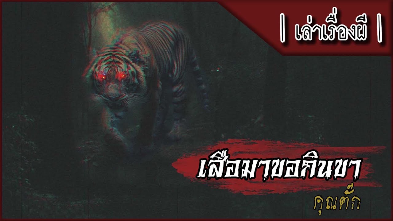 เล่าเรื่องผี EP.316 | เสือมาขอกินขา