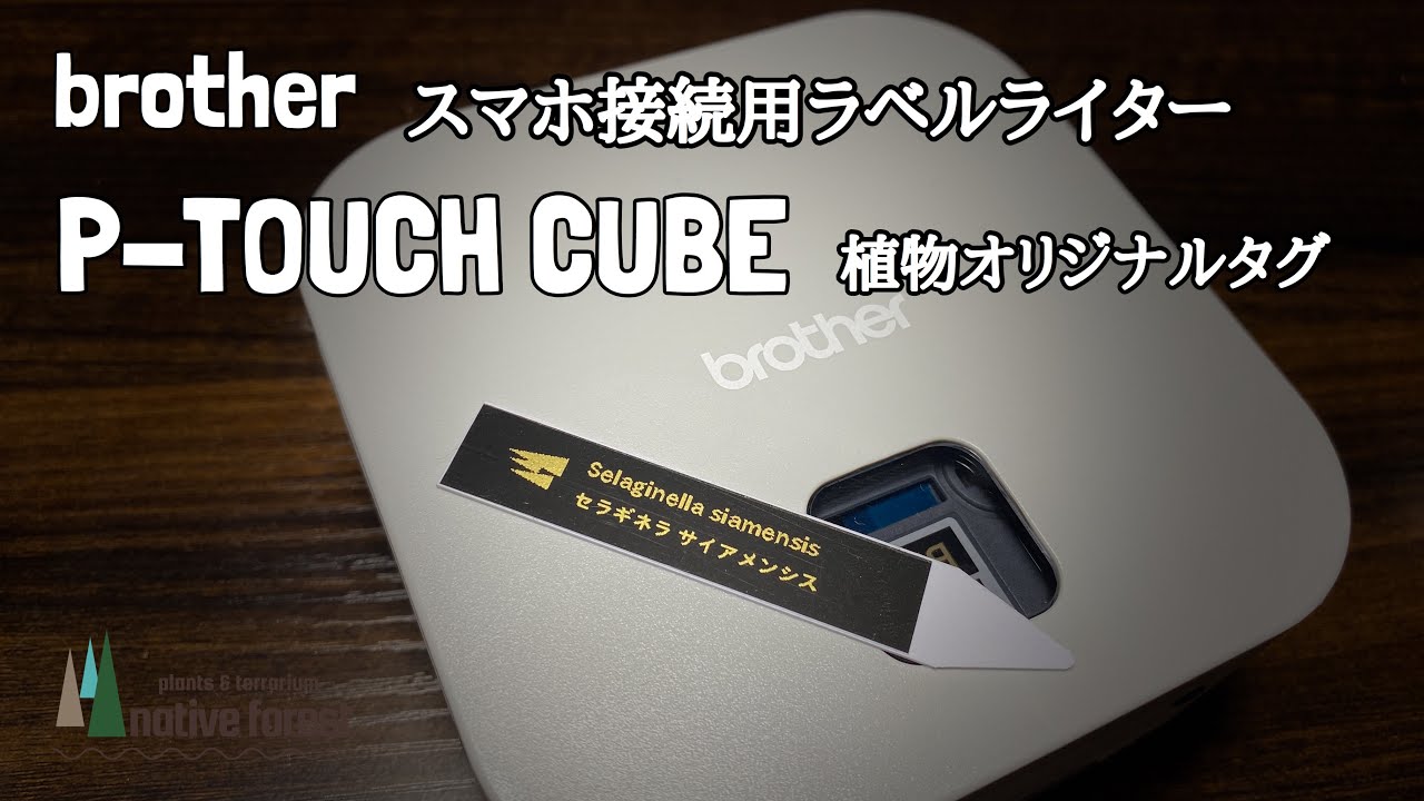 オリジナル植物タグ Brother P Touch Cube でオリジナルタグを作る Youtube